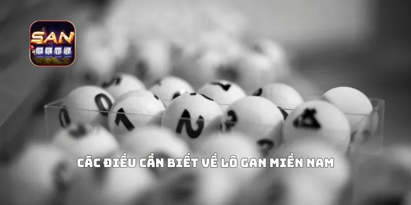 Các điều cần biết về lô gan miền Nam